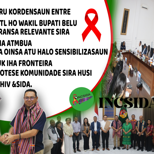 INCSIDA. IP